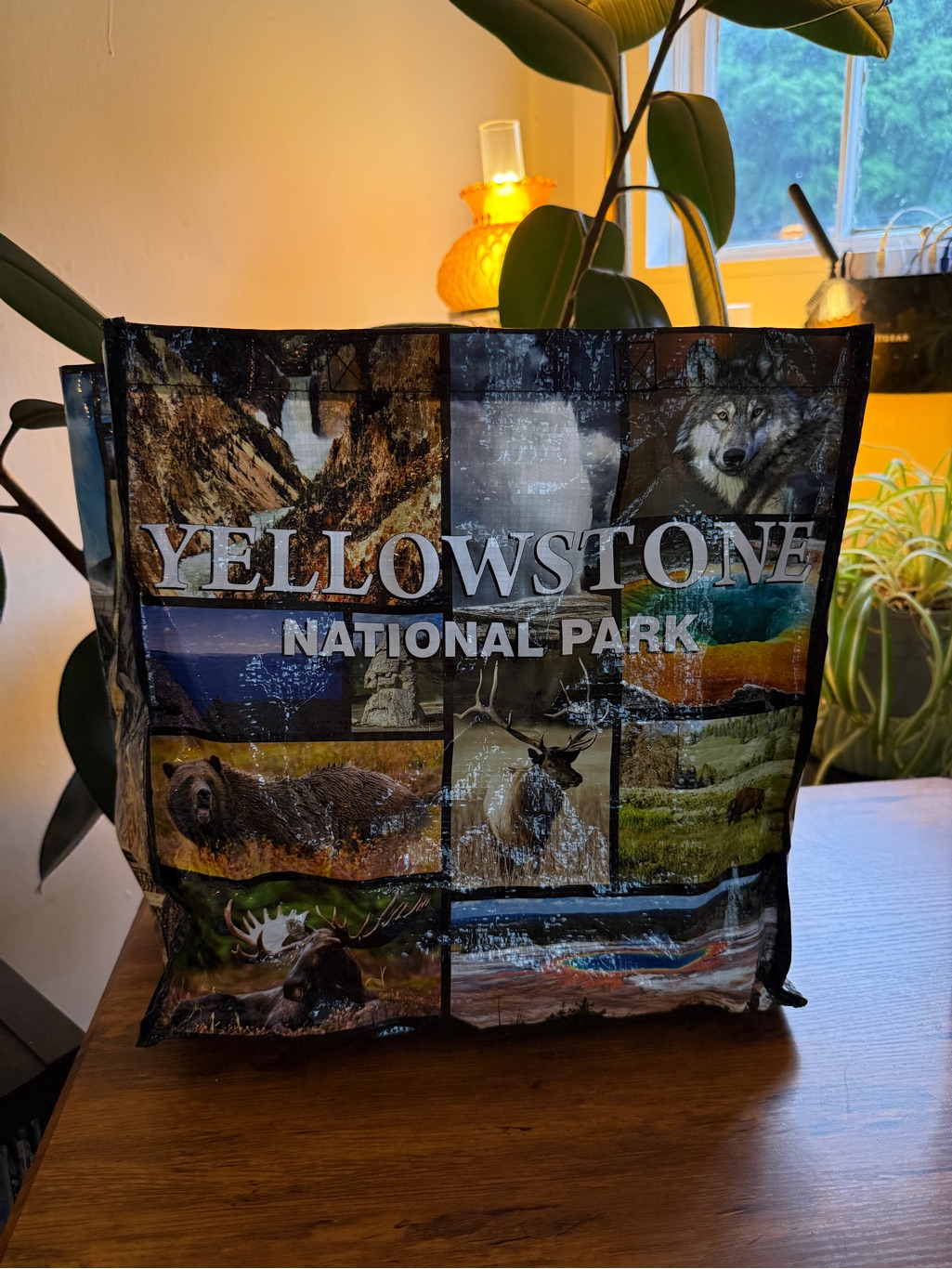 Yellowstone National Park Graphic Tote Bag Plastic - Multicolor